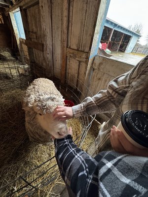 Grandpa Tiny's Farm by null