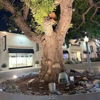 Pasta Sisters - Pedestrian only street with shops - Italian Near Me - Culver City, California Pasta Sisters - Pedestrian only street with shops - Italian Near Me - Culver City, California