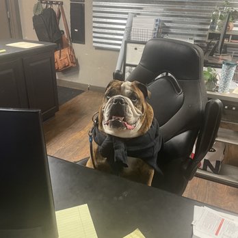 The Ding Guy - Adorable front desk help - Body Shops Near Me - Colorado Springs, Colorado The Ding Guy - Adorable front desk help - Body Shops Near Me - Colorado Springs, Colorado