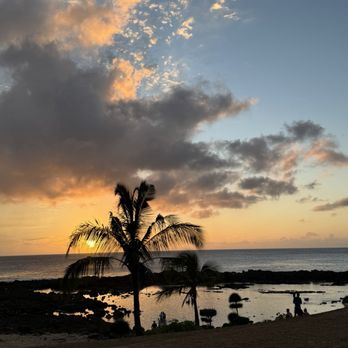 Shark's Cove - cove - Beaches Near Me - Haleiwa, Hawaii Shark's Cove - cove - Beaches Near Me - Haleiwa, Hawaii
