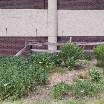 Decatur Public Library - Gardens on the front and side of the library building - Libraries Near Me - Decatur, Illinois Decatur Public Library - Gardens on the front and side of the library building - Libraries Near Me - Decatur, Illinois