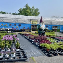 Comisky's Greenhouses