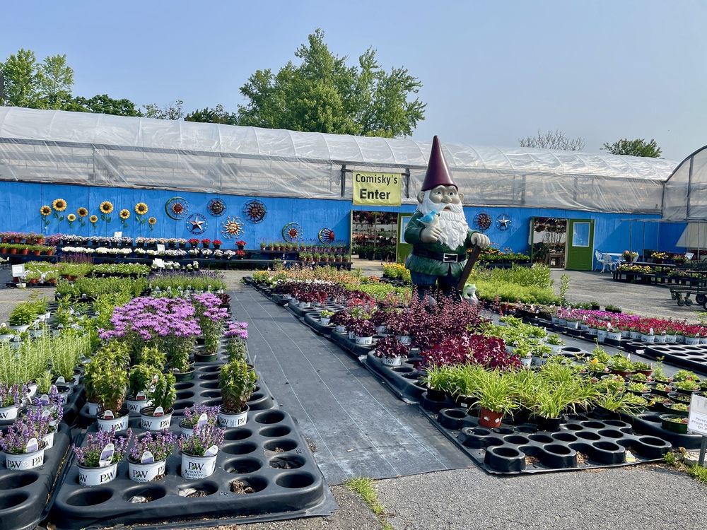 Comisky's Greenhouses Image
