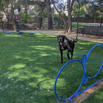 Spring Creek Apartments - Love the pet amenities!!! - Apartments Near Me - Citrus Heights, California Spring Creek Apartments - Love the pet amenities!!! - Apartments Near Me - Citrus Heights, California