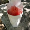 Noemi's Sno Cones gift card