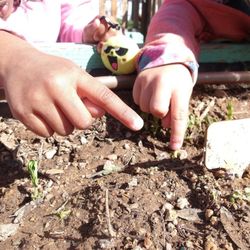 Natural Choice Academy