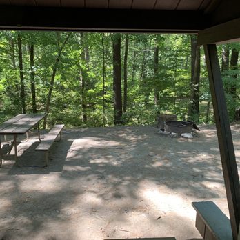 Jamaica State Park - Cherry site - Parks Near Me - Jamaica, Vermont