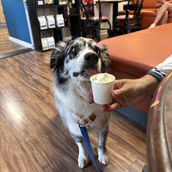 Espresso Yourselfie - Coffee & Tea Near Me - Hot Springs, Arkansas Espresso Yourselfie - Coffee & Tea Near Me - Hot Springs, Arkansas