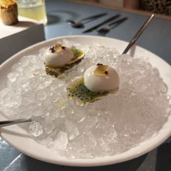 Maass - Oysters in the 7 course meal - Wine Bars Near Me - Fort Lauderdale, Florida Maass - Oysters in the 7 course meal - Wine Bars Near Me - Fort Lauderdale, Florida