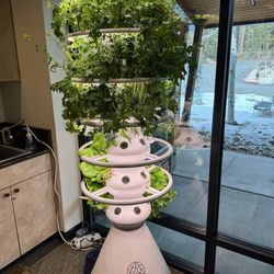 Incline Village Library - Lettuce grow by the 3D printer