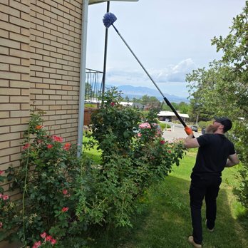TAGZ Pest Control - Pest Control Near Me TAGZ Pest Control - Pest Control Near Me