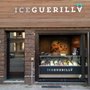Photo of IceGuerilla