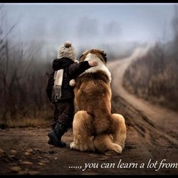 Bamberg Veterinary Clinic - you truly can.