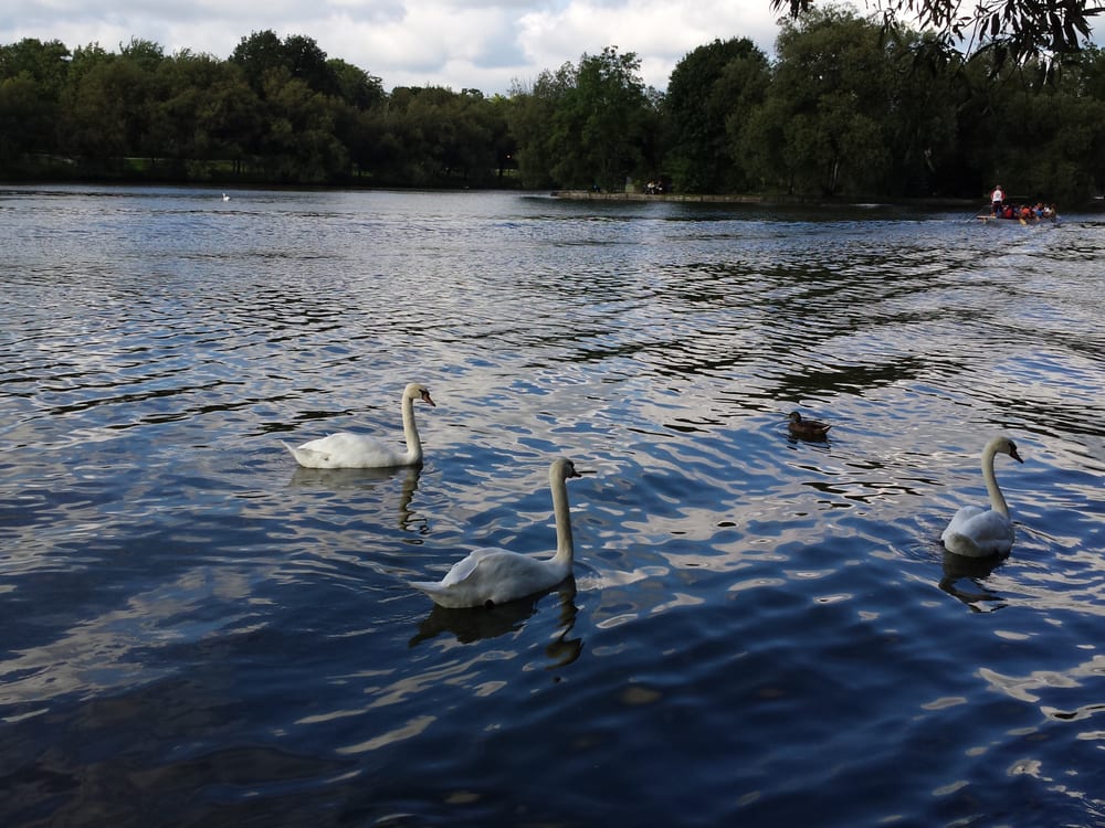 CITY OF STRATFORD Updated September 2024 20 Photos 303 King