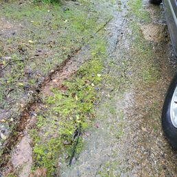 I'm parked in the middle of my driveway!!