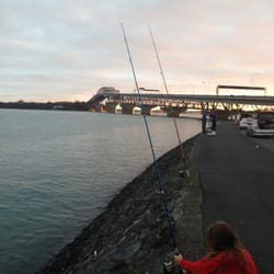 Harbour Bridge Fishing - Early morning fishing
