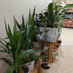 Publix Super Markets