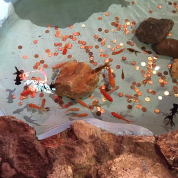 Rosita's Place - The fish actually greeted you! - Mexican Near Me - Phoenix, Arizona