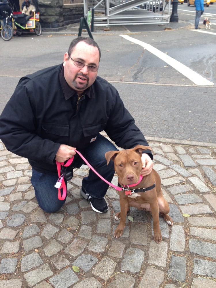 NYC PET NANNIES 15 Reviews 68 Bradhurst Ave, New York, New York