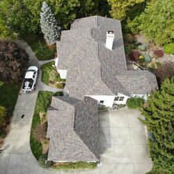 Four Paws Roofing & Remediation