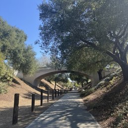 Beautiful bridge on Trail