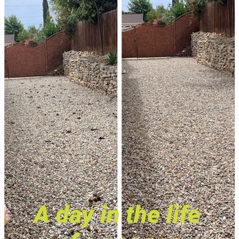 Poo-B-Gon - Pet Waste Removal Near Me Poo-B-Gon - Pet Waste Removal Near Me