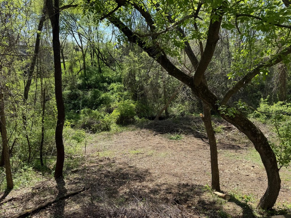 Tree Service of North Liberty - tree service in North Liberty, IA