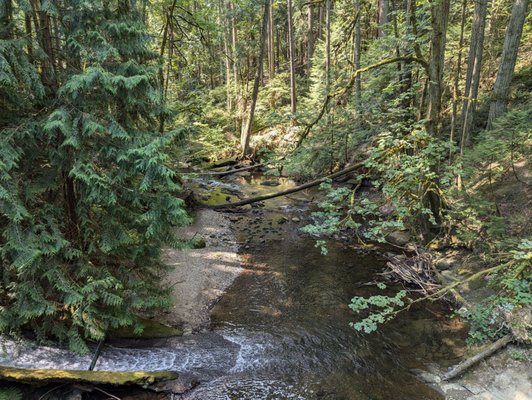 Whatcom Falls by null