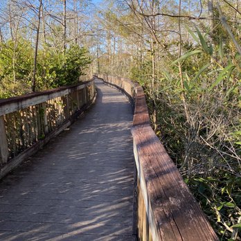 Kirby Storter Roadside Park - Parks Near Me - Ochopee, Florida