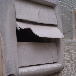 Blue Fox Appliance Repair - Birds like to nest in damaged dryer vents - clogging the vent and causing the dryer to overheat. Call us today for dryer wall vent cleaning!