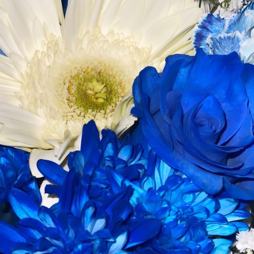 Long Beach Flowers - Florists Near Me - Long Beach, California Long Beach Flowers - Florists Near Me - Long Beach, California