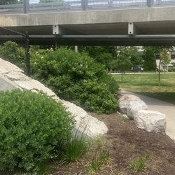 Walsh Park - Bike Trail