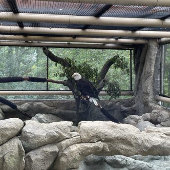Lindsay Wildlife Experience - Museums Near Me - Walnut Creek, California Lindsay Wildlife Experience - Museums Near Me - Walnut Creek, California