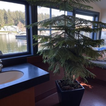 Tides Tavern - The bathroom has a pine tree in it! - Pubs Near Me - Gig Harbor, Washington Tides Tavern - The bathroom has a pine tree in it! - Pubs Near Me - Gig Harbor, Washington