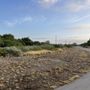 Photo of Agarita Walking Trail