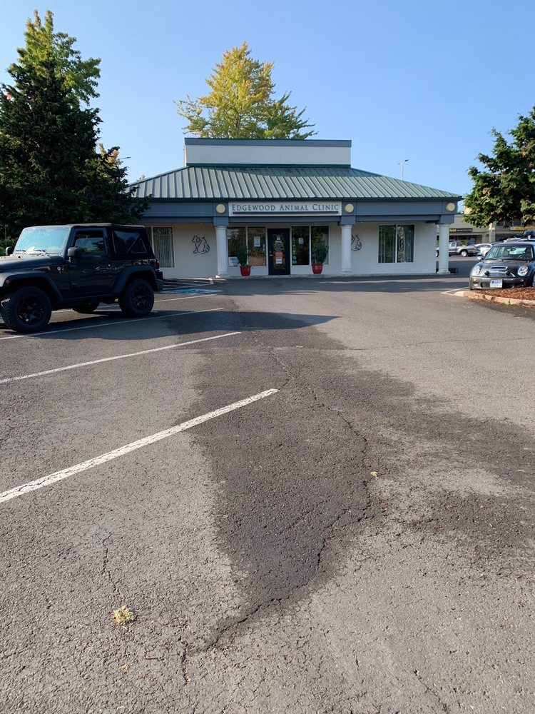 EDGEWOOD ANIMAL CLINIC Updated September 2024 16 Reviews 4010
