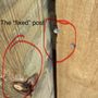 Photo of A Fence Builders
