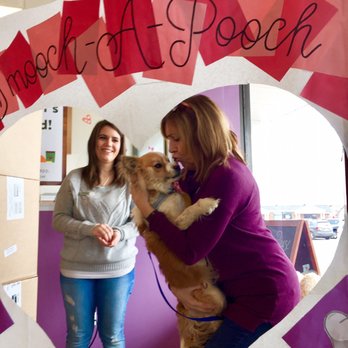 Kriser's Natural Pet - Pet Groomers Near Me - Naperville, Illinois