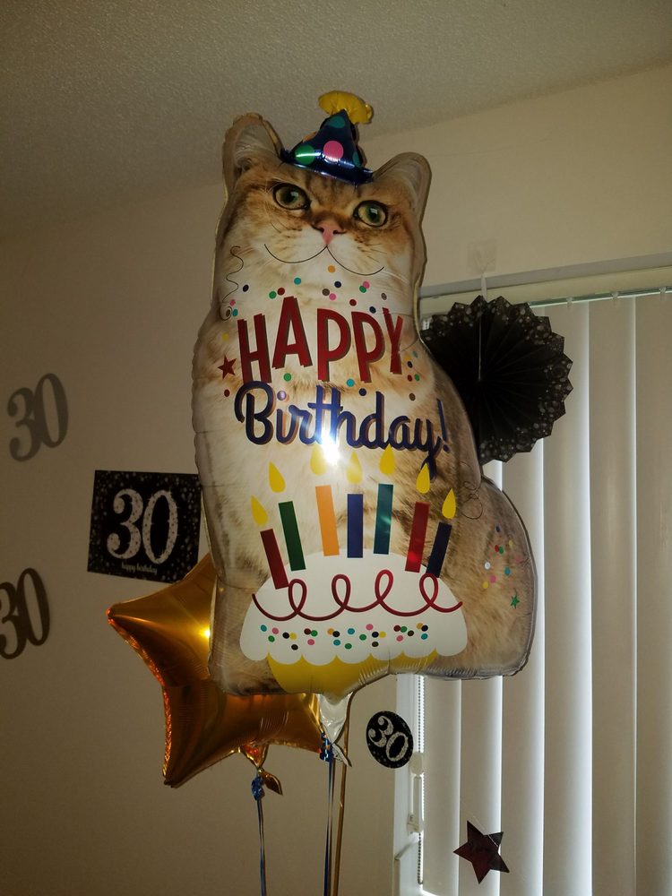 PARTY CITY Updated August 2024 10 Photos 165 Washington Ave Ext