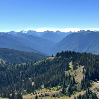 Hurricane Ridge - Parks Near Me - Port Angeles, Washington Hurricane Ridge - Parks Near Me - Port Angeles, Washington