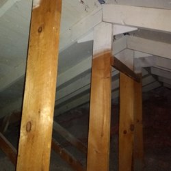 Quigley  Attic Mold Remediation Contractors - Mold Remediation