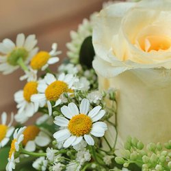 Jerry Spears Funeral Home and Cremation - Send Flowers