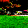 Photo of Metro Curbing