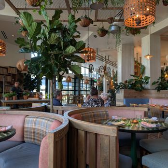 Valley Goat - New American Near Me - Sunnyvale, California Valley Goat - New American Near Me - Sunnyvale, California