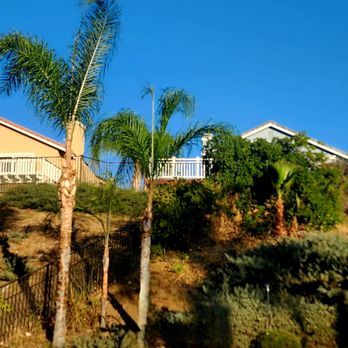 Golden Oak Tree Service - Tree Services Near Me - Sylmar, California Golden Oak Tree Service - Tree Services Near Me - Sylmar, California