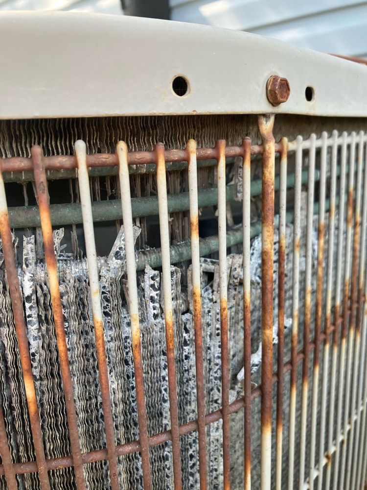 Ellis Inspection Service - mold inspector in Lillian, AL