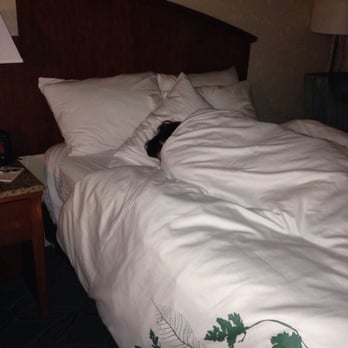The Isaac Jackson Hotel - Passed out in the EXTREMELY comfortable bed!! - Hotels Near Me - Elkins, West Virginia The Isaac Jackson Hotel - Passed out in the EXTREMELY comfortable bed!! - Hotels Near Me - Elkins, West Virginia