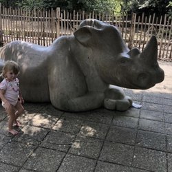 Molly The White Rhino - Summer 2021