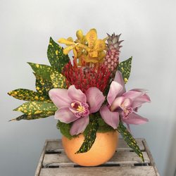 BDFloral