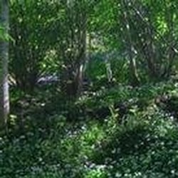Brecon Beacons National Park - Http://www.breconbeacons.org/visit-us/about-the-brecon-beacons